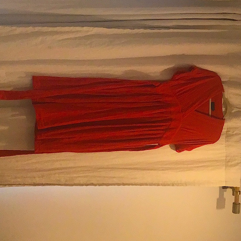 Red Hatch Maternity dress